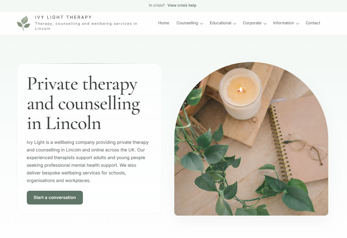 Desktop preview of Ivy Light Therapy website